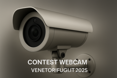 REGOLAMENTO CONTEST WEBCAM 2025